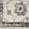 Nourison Fusion FSS15 Cream/Grey Area Rug Swatch Image