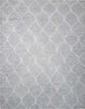 Nourison Galway GLW08 Light Grey Area Rug Main Image