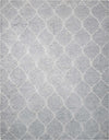 Nourison Galway GLW08 Light Grey Area Rug Main Image