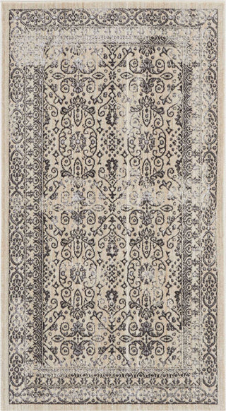 Nourison Ki34 Silver Screen KI342 Grey Area Rug Main Image