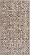 Nourison Ki34 Silver Screen KI343 Latte Area Rug Main Image