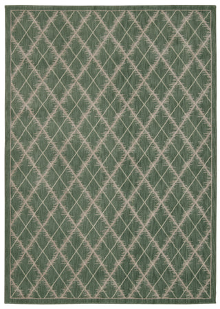 Nourison Tranquility TNQ01 Light Green Area Rug 6' X 8'