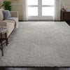 Nourison Ultra Plush Shag ULP01 Light Grey Area Rug 9' X 12'