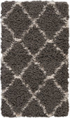 Nourison Ultra Plush Shag ULP02 Charcoal/Beige Area Rug 2' X 4'