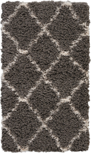 Nourison Ultra Plush Shag ULP02 Charcoal/Beige Area Rug 2' X 4'