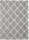 Nourison Ultra Plush Shag ULP02 Grey/Ivory Area Rug 4' X 6'