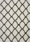 Nourison Ultra Plush Shag ULP02 Ivory/Charcoal Area Rug 4' X 6'