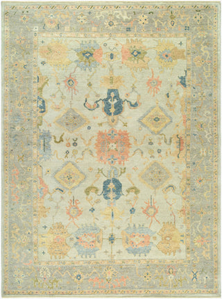 Surya Normandy NOY-8015 Area Rug main image