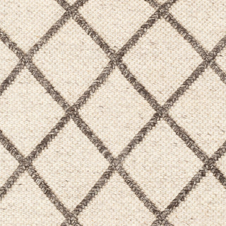 Surya Napels NPL-2300 Area Rug Swatch