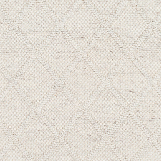 Surya Napels NPL-2303 Area Rug Swatch