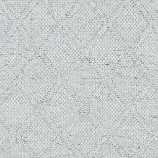 Surya Napels NPL-2304 Area Rug Swatch