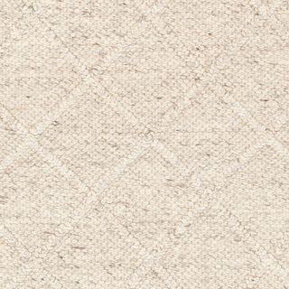 Surya Napels NPL-2305 Area Rug Swatch