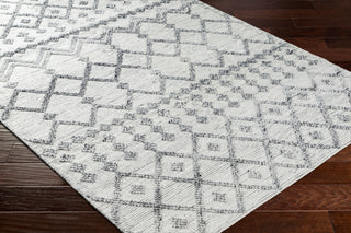 Surya Napoli NPO-2301 Area Rug Corner Shot