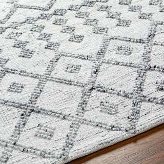 Surya Napoli NPO-2301 Area Rug Detail