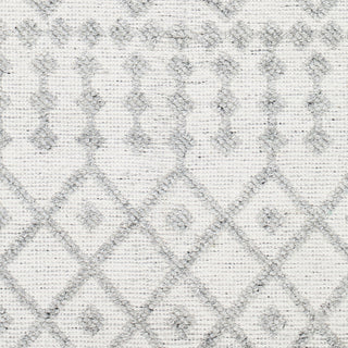 Surya Napoli NPO-2302 Area Rug Swatch