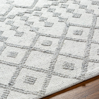 Surya Napoli NPO-2302 Area Rug Detail