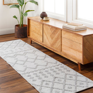 Surya Napoli NPO-2302 Area Rug Room Scene Feature