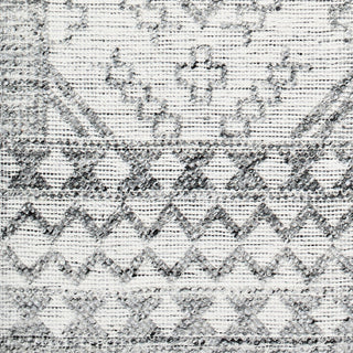 Surya Napoli NPO-2305 Area Rug Swatch
