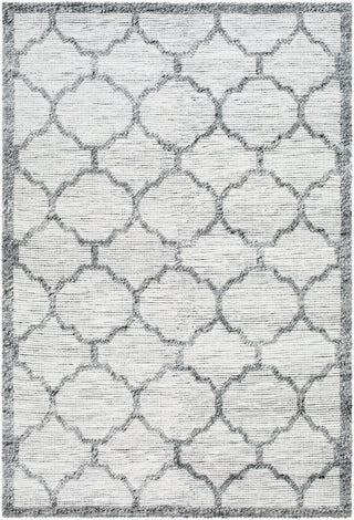 Surya Napoli NPO-2307 Area Rug main image