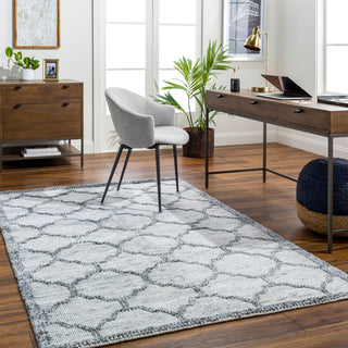 Surya Napoli NPO-2307 Area Rug Room Scene Feature