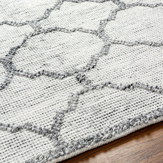 Surya Napoli NPO-2307 Area Rug Detail