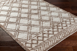 Surya Napoli NPO-2308 Area Rug Corner Shot