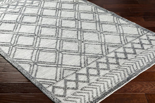 Surya Napoli NPO-2309 Area Rug Corner Shot