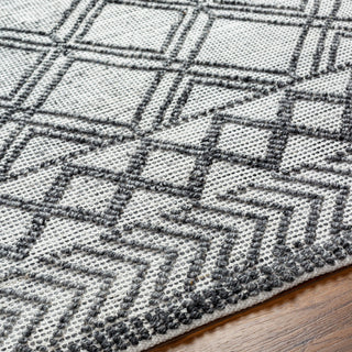 Surya Napoli NPO-2309 Area Rug Detail