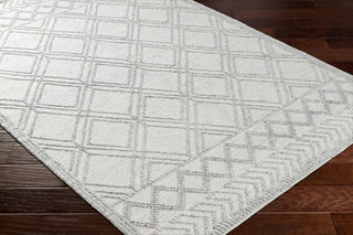 Surya Napoli NPO-2310 Area Rug Corner Shot