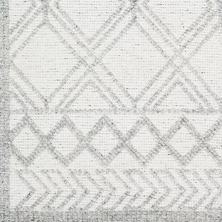 Surya Napoli NPO-2310 Area Rug Swatch