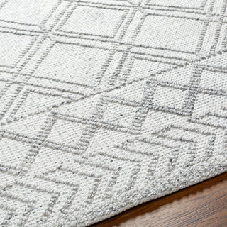 Surya Napoli NPO-2310 Area Rug Detail
