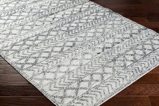 Surya Napoli NPO-2311 Area Rug Corner Shot