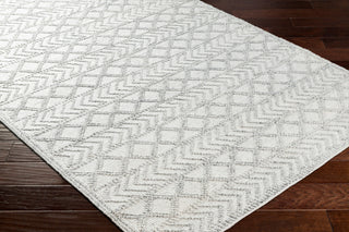 Surya Napoli NPO-2312 Area Rug Corner Shot