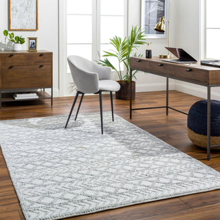 Surya Napoli NPO-2312 Area Rug Room Scene Feature