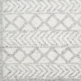 Surya Napoli NPO-2312 Area Rug Swatch