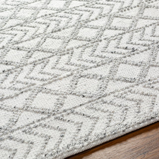 Surya Napoli NPO-2312 Area Rug Detail