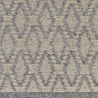Surya Napoli NPO-2314 Area Rug Swatch