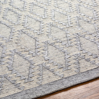 Surya Napoli NPO-2314 Area Rug Detail