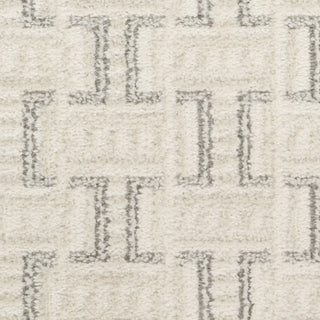 Nourison Nordic NRC01 Ivory Grey Area Rug Swatch Image