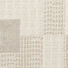 Nourison Nordic NRC05 Ivory Beige Area Rug Swatch Image