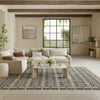 Nourison Nordic NRC06 Ivory Multicolor Area Rug 