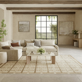 Nourison Nordic NRC06 Taupe Area Rug main image