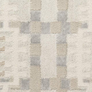 Nourison Nordic NRC08 Ivory Multicolor Area Rug Swatch Image