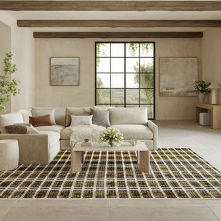 Nourison Nordic NRC08 Charcoal Multicolor Area Rug 