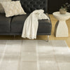 Nourison Nordic NRC09 Ivory Taupe Area Rug Corner Image