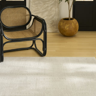 Nourison Nordic NRC11 Ivory Area Rug Texture Image