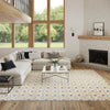 Nourison Nordic NRC14 Rust Multicolor Area Rug 