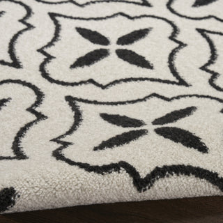 Nourison Essentials NRE04 Ivory Black Area Rug Detail Image