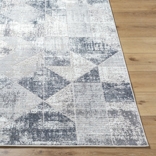 Livabliss Nesta NST-2301 Area Rug