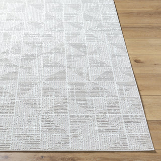 Livabliss Nesta NST-2302 Slate Area Rug